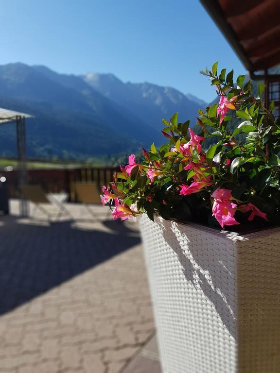 Hotel Veduta Dell'Adamello Тему Экстерьер фото